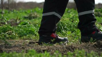 une homme dans le jardin video