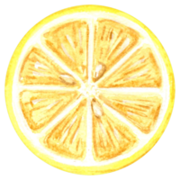waterverf tekening van een besnoeiing ronde geel citroen plak. hand- getrokken illustratie voor ontwerp, vakantie kaart, maken stickers, borduurwerk en verpakking, afdrukken Aan borden, handdoeken en keuken textiel png