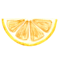 Watercolor drawing of a cut yellow lemon slice. Hand drawn illustration   for design, holiday card, making stickers, embroidery and  packaging, printing on dishes, towels and kitchen textiles png