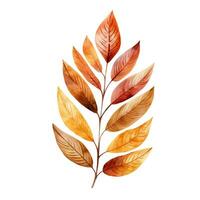 Bright watercolor autumn leaf. Illustration, single element on white background. Generative AI photo