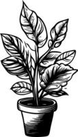 plant and pot cartoon vector