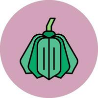 Acorn Squash Vector Icon