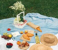 picnic en el césped. picnic en el parque con un cesta de alimento. foto