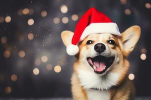 Happy cute corgi dog in Santa Claus hat with copy space. Christmas and New Year celebration concept. AI generated. photo