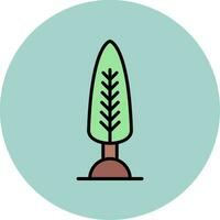 Cypress Vector Icon