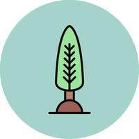 Cypress Vector Icon