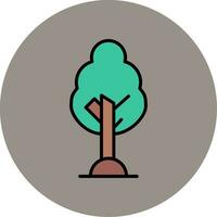 Birch Vector Icon
