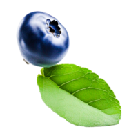 Fresh blueberries pair Generative Ai png