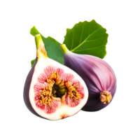 Common fig Auglis Tree Weeping fig, Generative Ai png