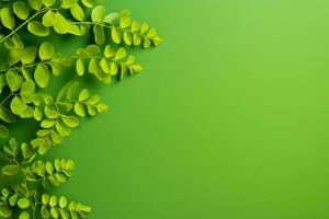 Fresh moringa leaves on green background. Top view with copy space. AI generated. photo