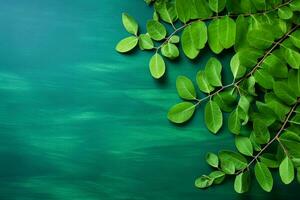 Fresh moringa leaves on blue background. Top view with copy space. AI generated. photo