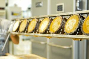 pastry baker artisan baking small group of italian panettone sweet bread typical for christmas time photo