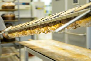 Pastelería panadero artesano horneando pequeño grupo de italiano Panettone dulce un pan típico para Navidad hora foto