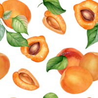 Watercolor whole and segment apricots seamless pattern. Orange fruits illustration. Peach, leaves, nectarine hand drawn. Design element for package, wrapping, textile, background. png