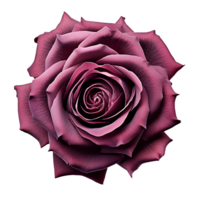 Flower isolated on transparent background cutout. AI Generative png