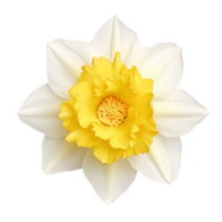 Flower isolated on transparent background cutout. AI Generative png