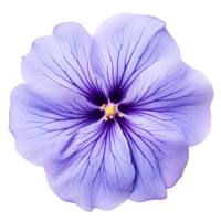 flor isolado em transparente fundo recortar. ai generativo png