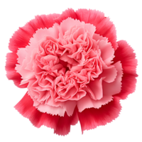 Flower isolated on transparent background cutout. AI Generative png