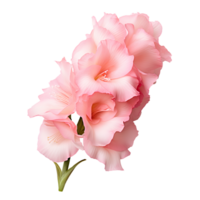 Flower isolated on transparent background cutout. AI Generative png