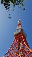 tokyo toren in minato stad, Tokio. de tokyo toren, is een communicatie en observatie toren gebouwd in 1958. Bij 332,9 meter, het is de op een na hoogste structuur in Japan. video