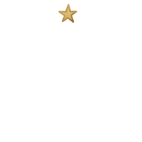 White Christmas Tree With Gold Star png