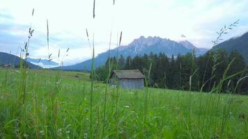 a small cabin in the middle of a field with mountains in the background video