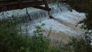 agua que fluye sobre las rocas en un arroyo video