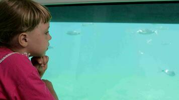 two kids looking at fish through a window video