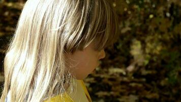 un pequeño niña en amarillo chaqueta participación un hoja video