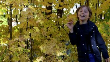 un joven niño es jugando en el bosque con amarillo hojas video