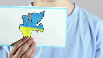 en pojke innehav en papper Skära ut av en fågel med de ukraina flagga video