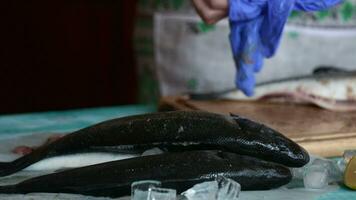 ein Person im Blau Handschuhe ist Schneiden oben Fisch auf ein Schneiden Tafel video