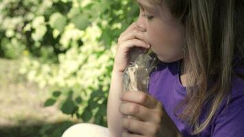 un pequeño niña es comiendo un pedazo de caramelo video