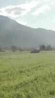 un campo de verde césped con montañas en el antecedentes video