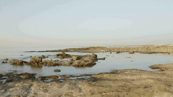 the beach at the dead sea video