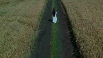 une femme dans une blanc robe des promenades vers le bas une chemin dans une champ video