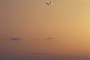 picturesque ocean landscape with the setting sun in a tropical country during summer holidays photo