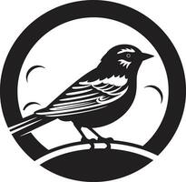 Sparrows Song in Monochrome Aerial Artistry Sculpted Skybound Symbol Midnight Monochrome Marvel vector
