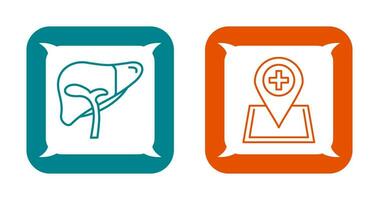 Liver and Location Icon vector