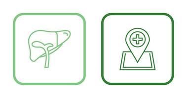 Liver and Location Icon vector