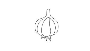 Animation forms a sketch of a garlic icon video