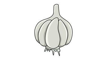 Animation forms a garlic icon video