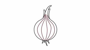 Animation forms a sketch of a red onion icon video