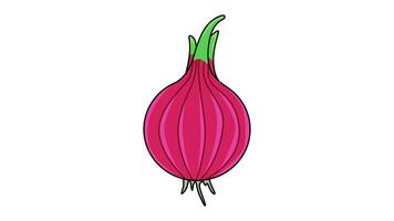 Animation forms a red onion icon video