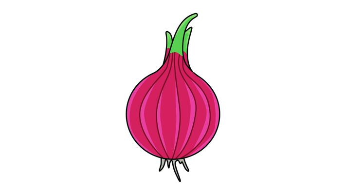 Animation forms a red onion icon 32761340 Stock Video at Vecteezy