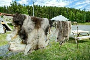 a pair of fur coats hanging on a clothesline photo