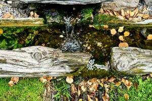 a small stream of water running through a log photo