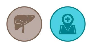 Liver and Location Icon vector