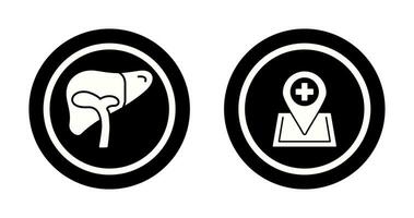Liver and Location Icon vector