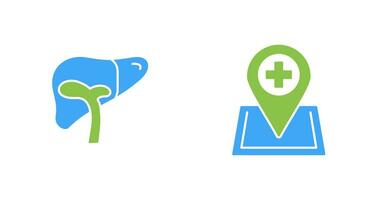 Liver and Location Icon vector